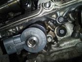 Inyector de combustible