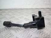 Zündspule Zündmodul
