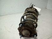 Amortiguador delantero con muelle espiral