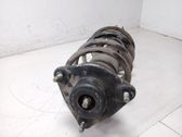Amortiguador delantero con muelle espiral