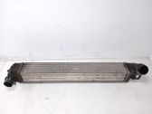 Radiador intercooler