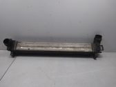 Radiador intercooler