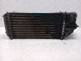 Chłodnica powietrza doładowującego / Intercooler