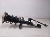 Amortiguador delantero con muelle espiral