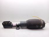 Front shock absorber with coil spring