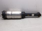 Front shock absorber with coil spring