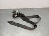 Rear seatbelt