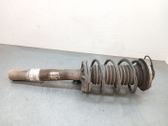 Front shock absorber with coil spring