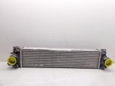 Intercooler radiator