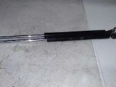 Tailgate/trunk strut/damper