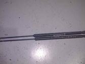 Tailgate/trunk strut/damper