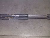 Tailgate/trunk strut/damper