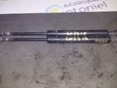 Front bonnet/hood damper/strut