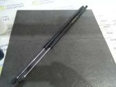Tailgate/trunk strut/damper