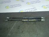 Front bonnet/hood damper/strut