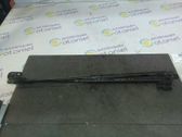 Front bonnet/hood damper/strut