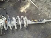 Front shock absorber with coil spring