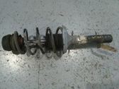 Amortiguador delantero con muelle espiral