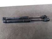 Tailgate/trunk strut/damper