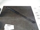 Tailgate/trunk strut/damper