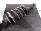 Amortiguador delantero con muelle espiral