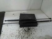 Tailgate/trunk strut/damper