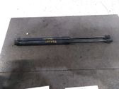 Tailgate/trunk strut/damper