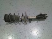 Amortiguador delantero con muelle espiral