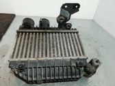 Intercooler radiator