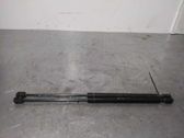 Tailgate/trunk strut/damper