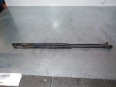 Tailgate/trunk strut/damper