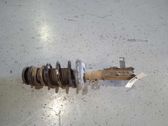 Amortiguador delantero con muelle espiral