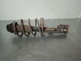 Amortiguador delantero con muelle espiral