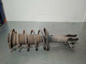 Front shock absorber with coil spring