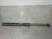 Tailgate/trunk strut/damper