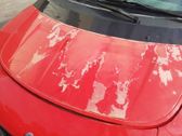Engine bonnet/hood