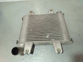 Chłodnica powietrza doładowującego / Intercooler