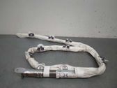 Front door airbag