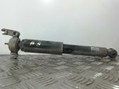 Rear shock absorber/damper