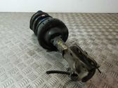 Front shock absorber with coil spring