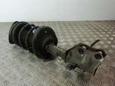 Front shock absorber with coil spring