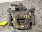 Bremssattel hinten