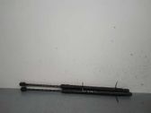 Tailgate/trunk strut/damper