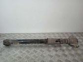 Rear shock absorber/damper