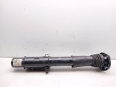 Amortiguador delantero con muelle espiral