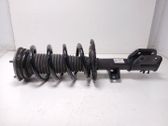 Front shock absorber with coil spring