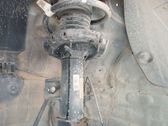 Amortiguador delantero con muelle espiral