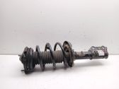Front shock absorber with coil spring