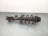 Amortiguador delantero con muelle espiral