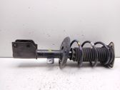 Amortiguador delantero con muelle espiral